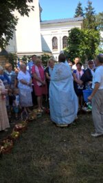 wp_20180819_12_12_36_pro